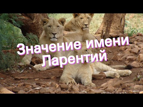 Значение имени Ларентий. Толкование, судьба, характер