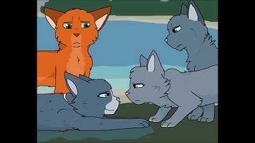 Safe and Sound- Warriors MAP *part 24