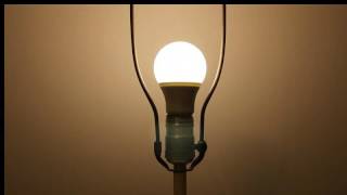 StarLED Standard Household Light Bulb A19 E26 3W 3000K (30W Equivalent)