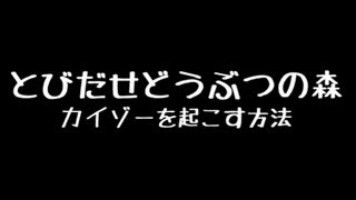 とびだせどうぶつの森　カイゾーを起こす方法 攻略