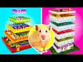 DIY Hamster Mazes || Escape the hamster maze