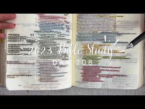 Day 208 Isaiah 44-48 | Bible study for beginners | Study the Bible in One Year