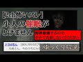 [2ch怖いスレ]小人の催眠がとけません[ゆっくり解説]