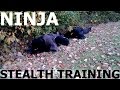 Ninja stealth training  kagegakurenojutsu the hidden shadow ninjutsu technique