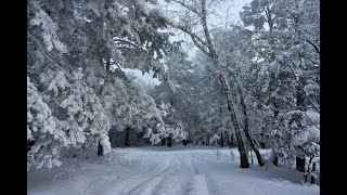 С Новым годом! Снег кружится