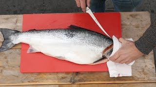 How To FILET a WHOLE SALMON   Easy to do!
