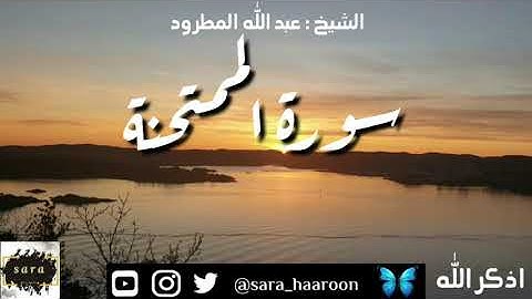 سورة الممتحنة بصوت الشيخ عبد الله المطرود بجودة عالية (60)