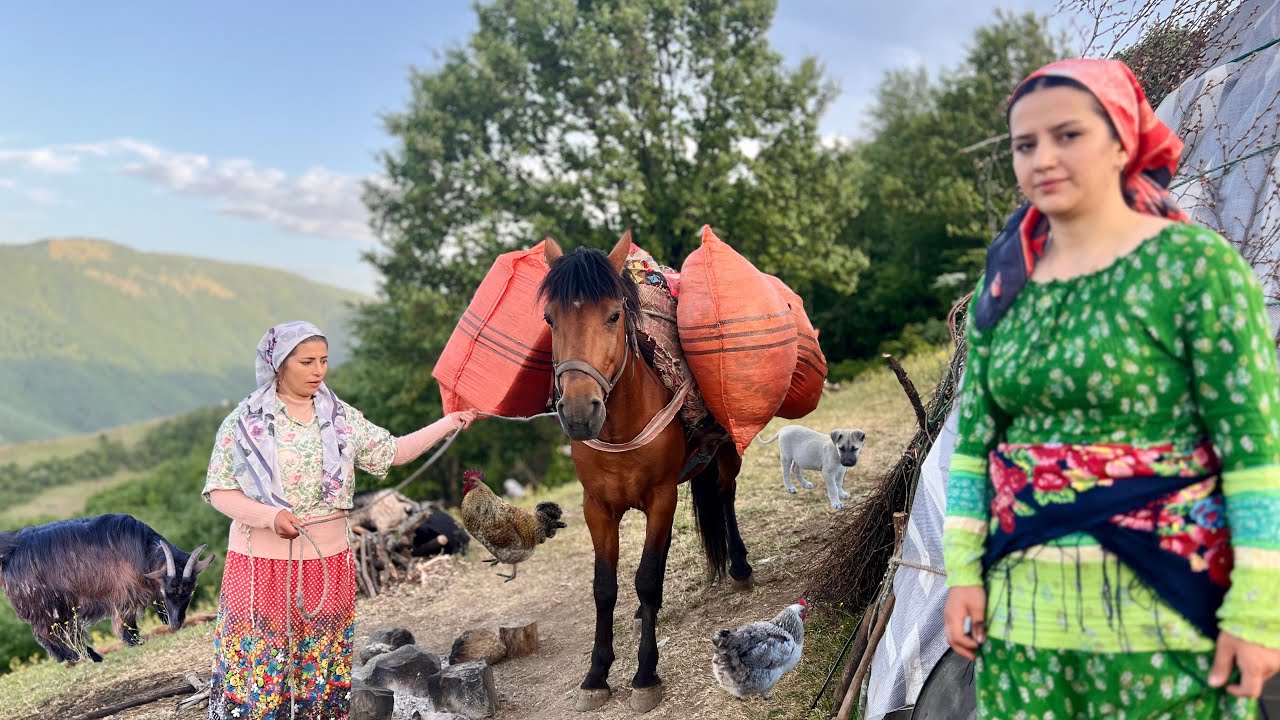 Изучение кочевого образа жизни Ирана: доение коров и приготовление масла на лугах