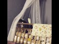 Стас Михайлов