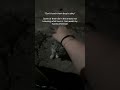 Owner Of This Video Mizz Nala On TikTok Shorts Owner Of This Video Mizz Nala On TikTok Shorts