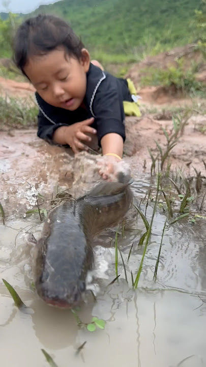 Survival Skills: single mom with FISH catching skills #survival #camping #bushcraft #food #cooking