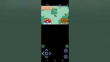 Pokémon Contemporary emerald part 1 | Roxanne 