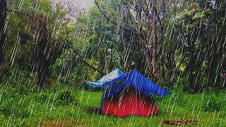 SOLO CAMPING IN HEAVY RAIN • REAL NON-STOP THUNDERSTORM RAIN • RELAXING RAIN SOUND • ASMR