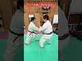 【武道・武術】YASUと弟たけの演武!?アバラはいってません!!#aikido #karate #martial #武道 #空手#筋トレ