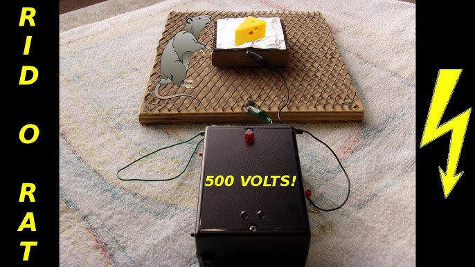 Best Electric Mouse Trap /How to make a Homemade Electric Mousetrap With  Battery 12V/Mouse Reject  Best Electric Mouse Trap /How to make a Homemade Electric  Mousetrap With Battery 12V/Mouse Reject Credit