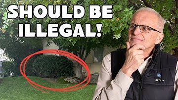 Mijn 11 grootste fouten bij het aanleggen van tuinen