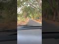 Road trip #shorts #roadtrip #foryou #lifeisbutadream #longdrive #driving #drive #getaway #weekend