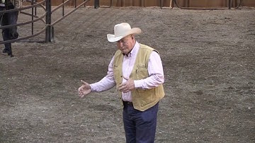 Dr. Ron Gill & Curt Pate - NCBA 2019 - Transportation Issues Full Video