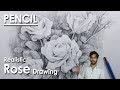 Realistic Rose Drawing in Pencil | step by step Drawing