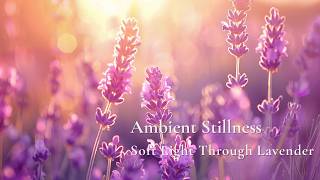 Calm Morning Background Music | Ambient Stillness — Soft Light Through Lavender (45 min)