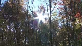 Autumn Beauty by nwwmark 405 views 11 years ago 8 minutes, 38 seconds