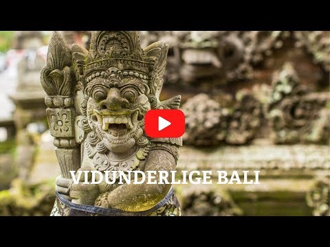 Video: Denne 12-årige Bookede En Luksuriøs Solo-tur Til Bali - Og Slap Væk Med Den
