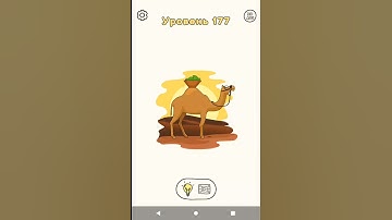 DOP Draw one part Level 177