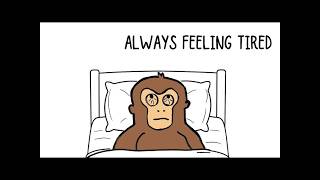 Why You're Always TIRED But Do Nothing All Day | Monkey Mind Explains