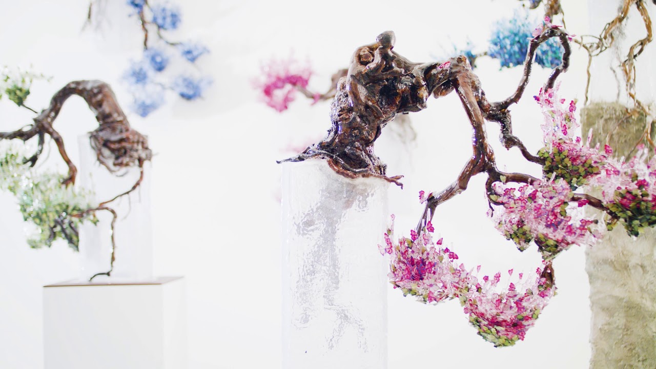 The Garden - Annalù - Video Installazione Artistica