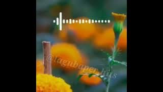 Story Wa||Selamanya Cinta||60 Detik