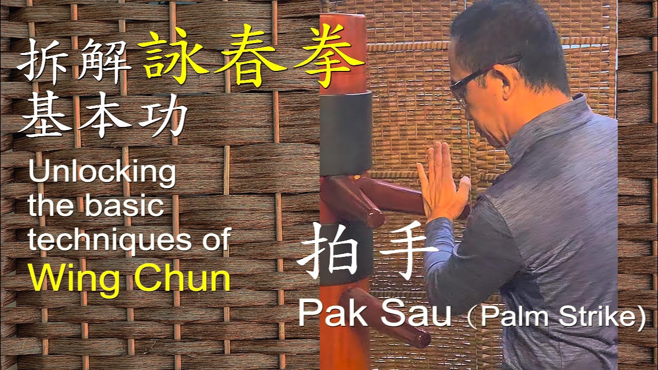 廣州詠春 拍手(拍掌)如何拍 拆解基本功 阮奇山詠春 岑能詠春 詠春拳 Guangzhou Wing Chun | Pak Sau ...