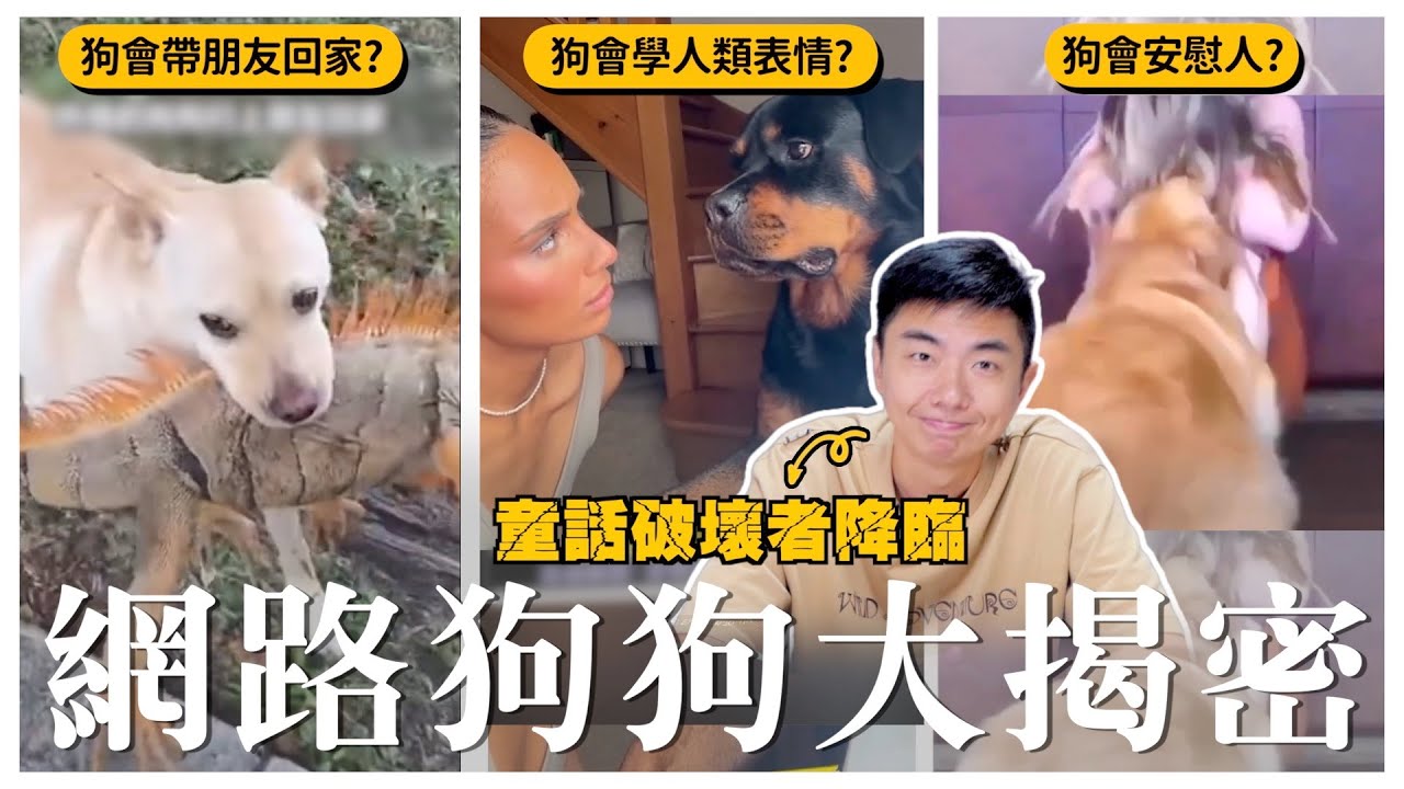 那些成精的狗狗是怎麼辦到的?【網路狗狗大揭密】｜熊爸估狗 - YouTube