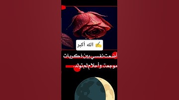#اكسبلور #تلاوة_خاشعة #اسمعنا #قرآن #راحة_نفسية #ترند #funny #دويتو #xbox #لايك #islam #m #yt #fyp