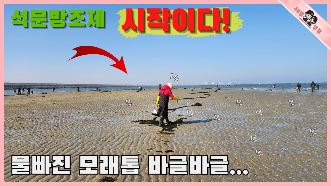 석문방조제 지금부터 시즌이 시작되는 이것 때문에 사람들 난리났어요!