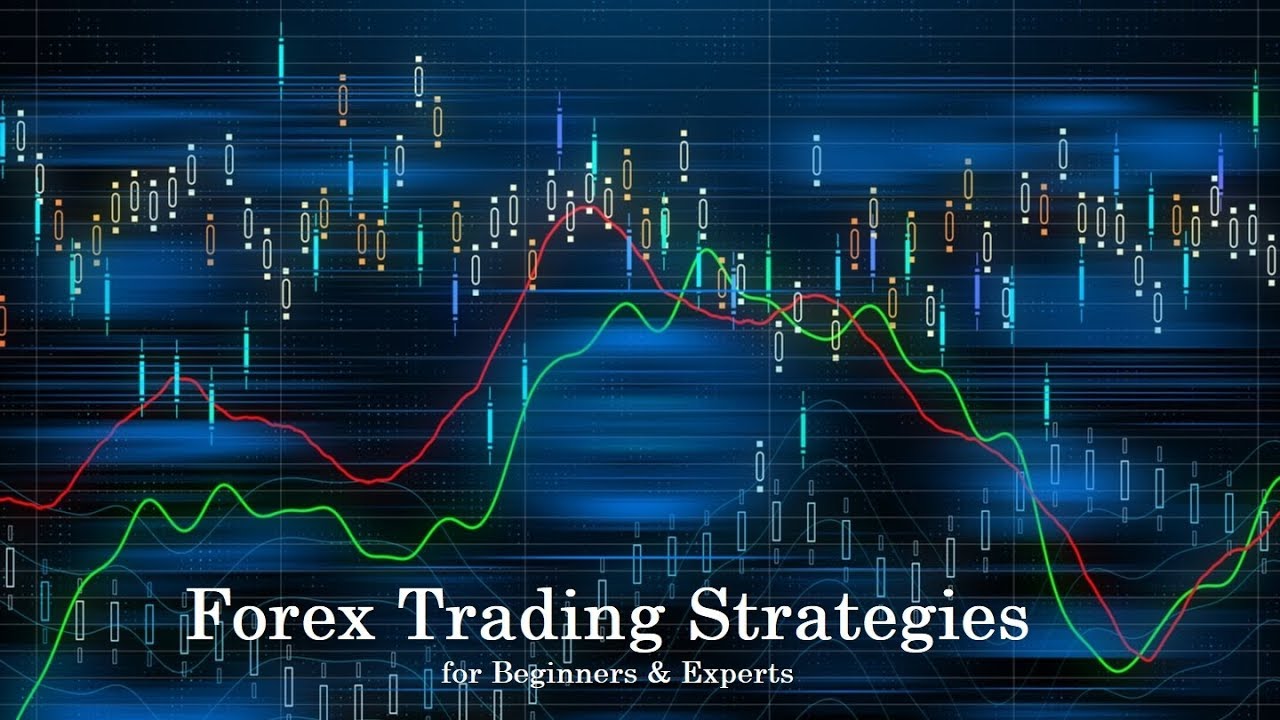 forex trading software reviews