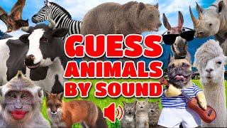 Can You Guess Animals by Sound? | Sounds Quiz