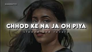 Chod Ke Na Jaa O Piya ( Slow Reverb ) Alka Yagnik Maa Tujhhe Salaam | Arbaaz Khan, Monal #lofi