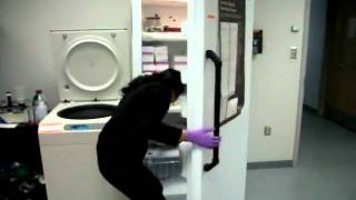 DSCF3031.avi