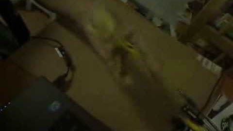 RSVP MX [Simple combo]