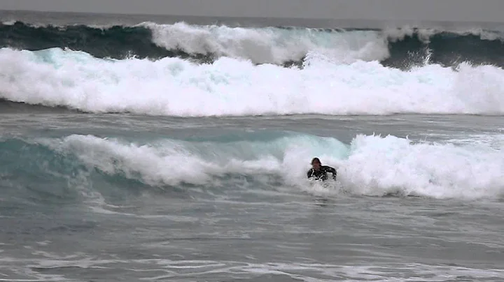 Bodyboard ARS Backflipiao Portofino Alfred Barnett