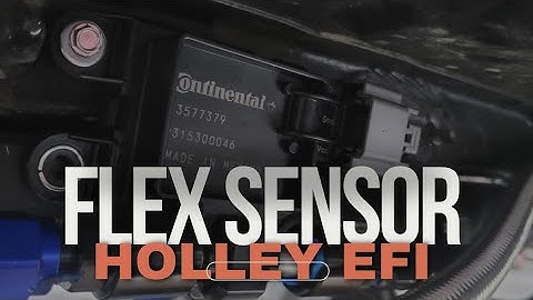 How to Wire and Install an E85 Flex Fuel Sensor Holley EFI Terminator X