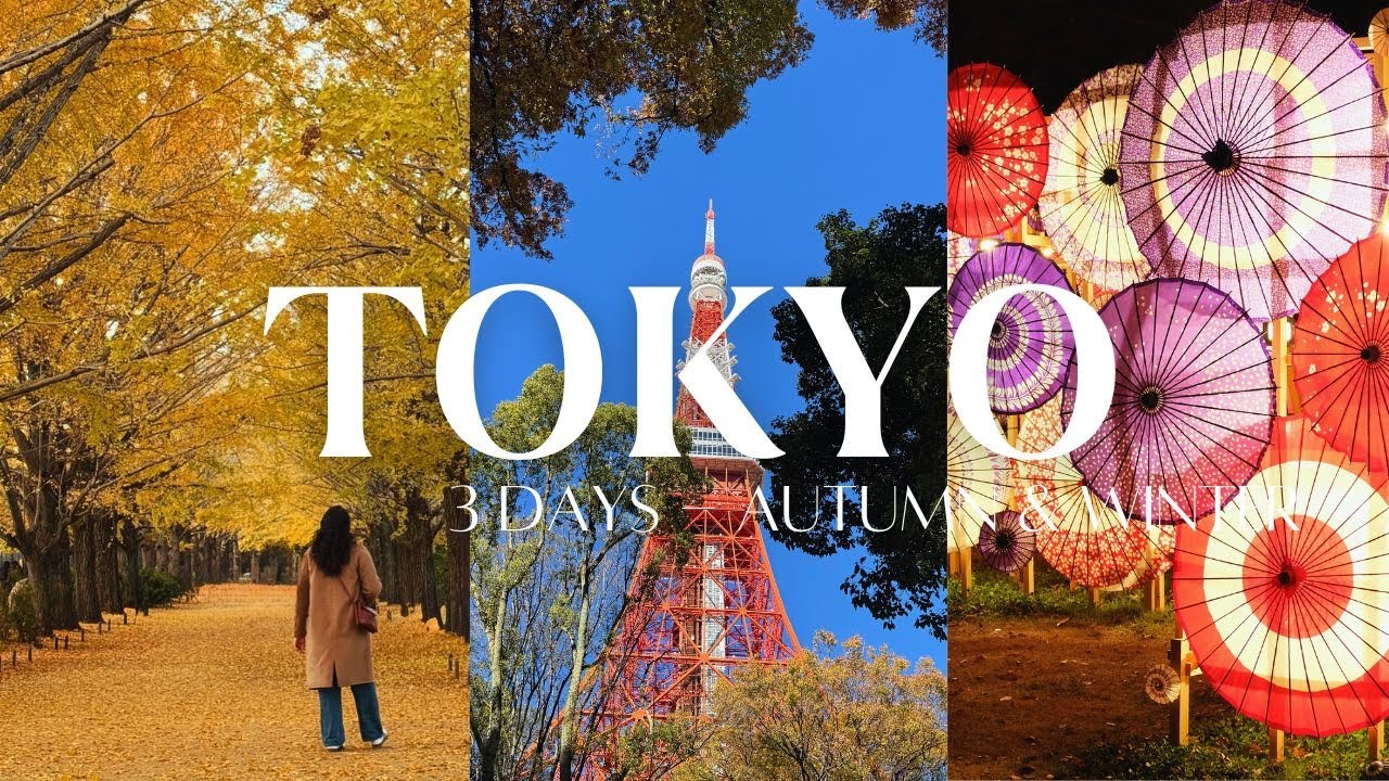 Tokyo 東京 Autumn Winter: Omotesando, Cafes, Showa Kinen Park, Tokyo Tower, Ghibli Clock, Illumination