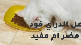 فائده وأضرار الدراي فود/ وايه افضل انواع / للقطط damage and  benefits of Dry food 