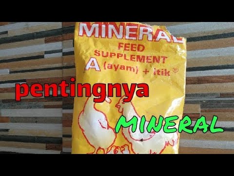 Video: Serbuk mineral untuk penghasilan campuran asf alt