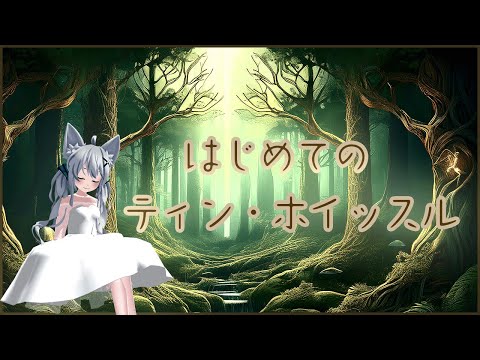#2日目【ティン・ホイッスル】10日後にザナルカンドにてをかっこよく弾きたい♪
