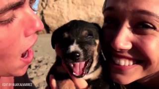 Moments Of Jay Alvarrez & Alexis Ren Edit