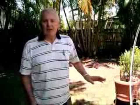 Dee S Garden Raised Garden Beds And Ants 16 02 2014 Youtube