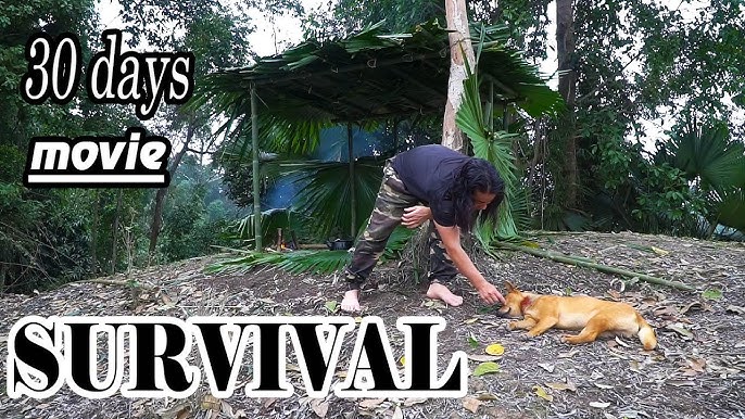 60 Day Survival Challenge  Survival Alone In The Rainforest 