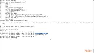 Back-End Web Development using Go : Authenticated Sessions | packtpub.com