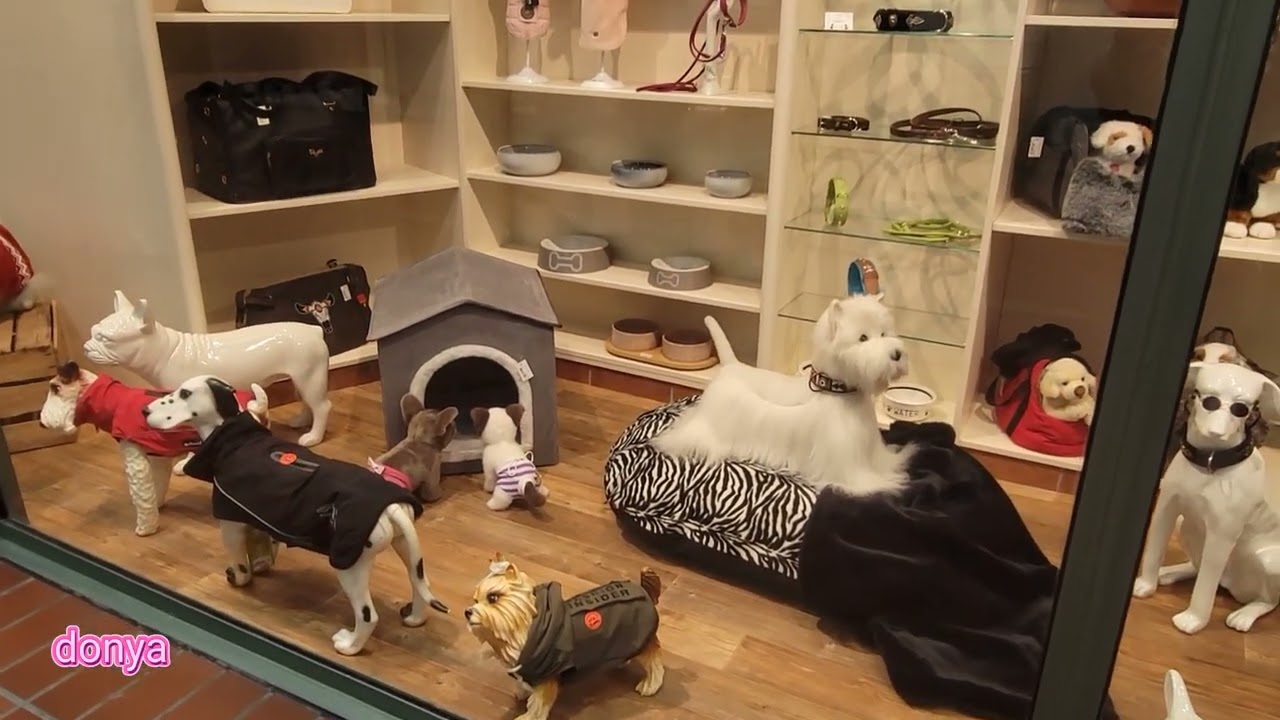 استور هامبورگ در المان همه چیز فوق العاده گرون بود ترجیح دادم از خود کانادا خرید کنم خیلی مناسب تر 👌